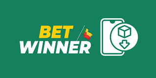 BetWinner Casino Evaluation